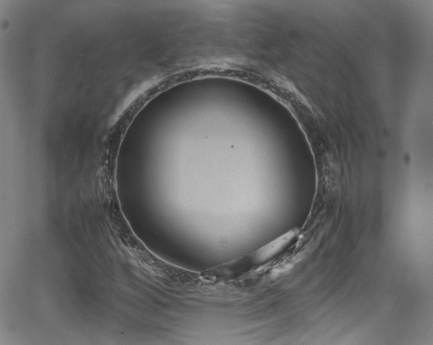 X0000062931256200601131502