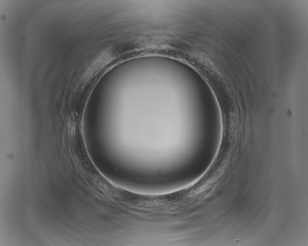 X0000062931257200601131502