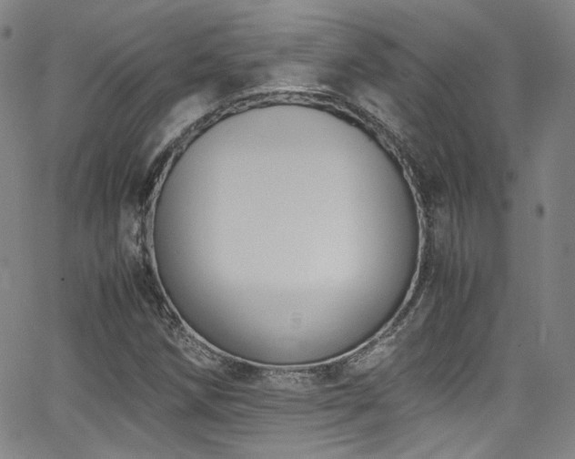 X0000062931258200601131502