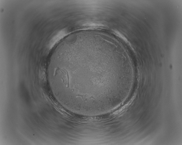 X0000062931259200601131502