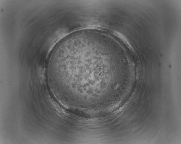 X0000062931260200601131502