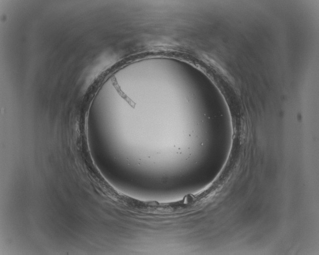 X0000062931261200601131502