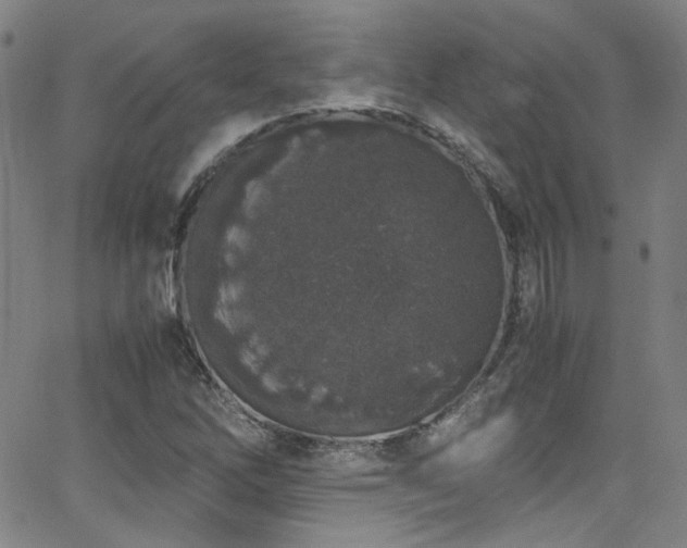 X0000062931262200601131502