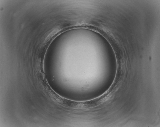 X0000062931265200601131502