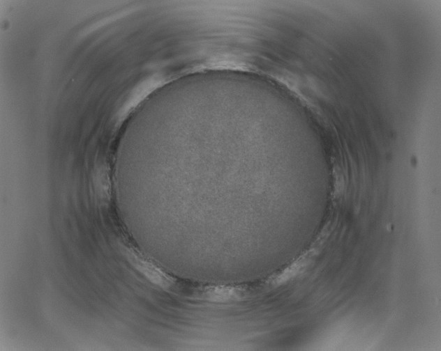 X0000062931266200601131502