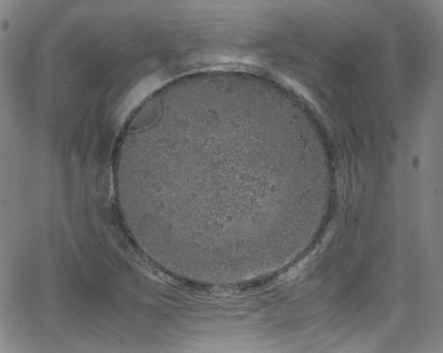 X0000062931267200601131502