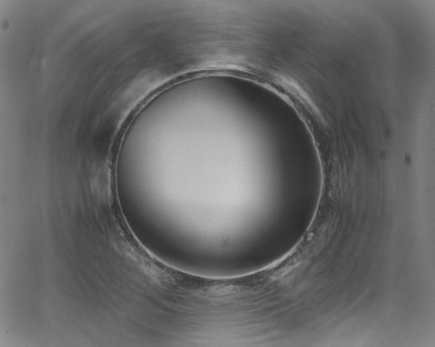 X0000062931268200601131502