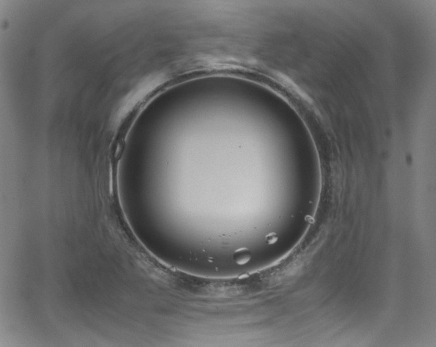 X0000062931269200601131502