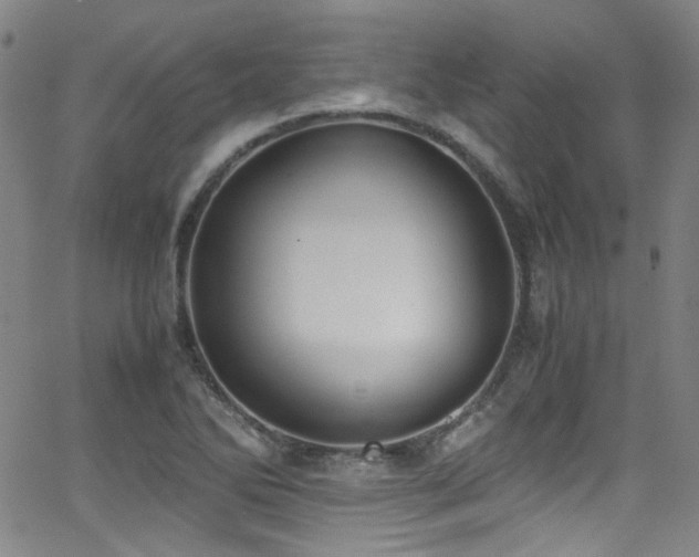 X0000062931270200601131502