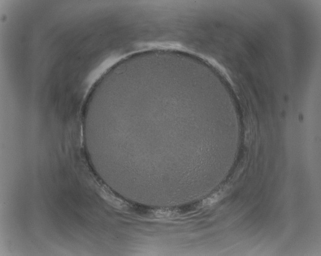 X0000062931271200601131502