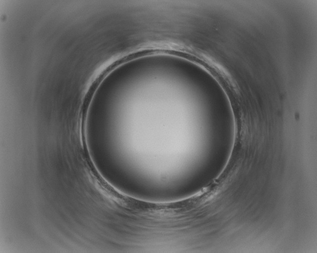 X0000062931272200601131502