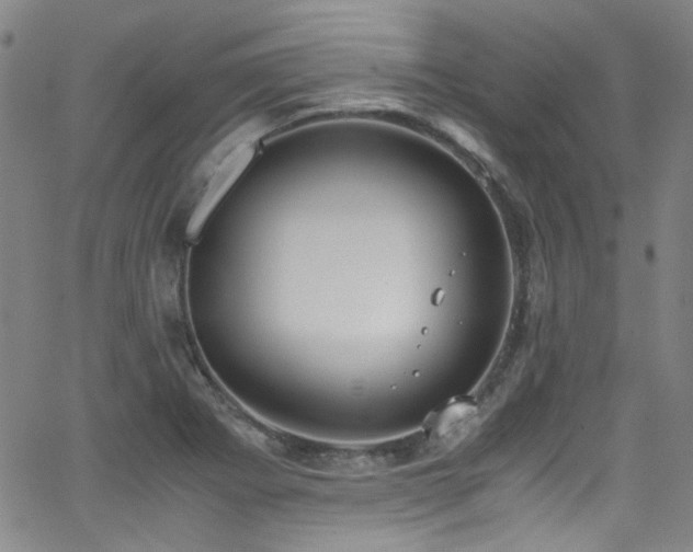 X0000062931273200601131502