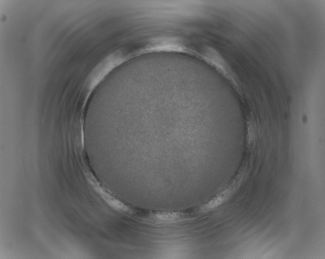 X0000062931274200601131502