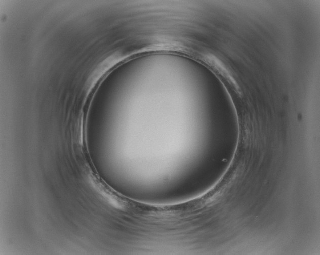 X0000062931276200601131502