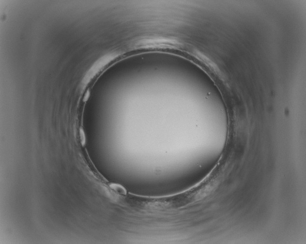 X0000062931277200601131502