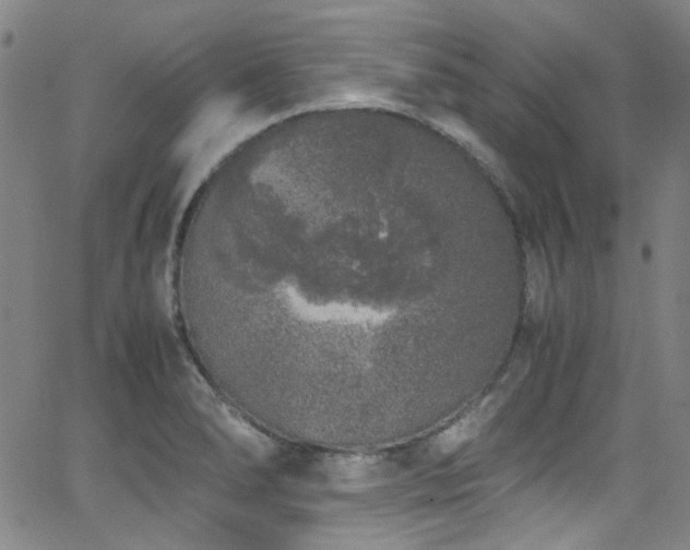 X0000062931278200601131502