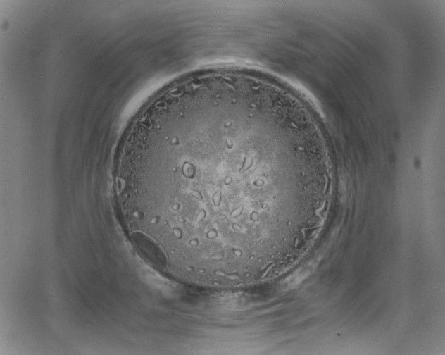 X0000062931279200601131502