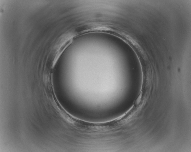 X0000062931281200601131502