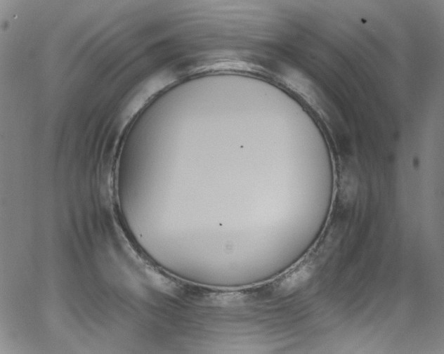 X0000062931282200601131502