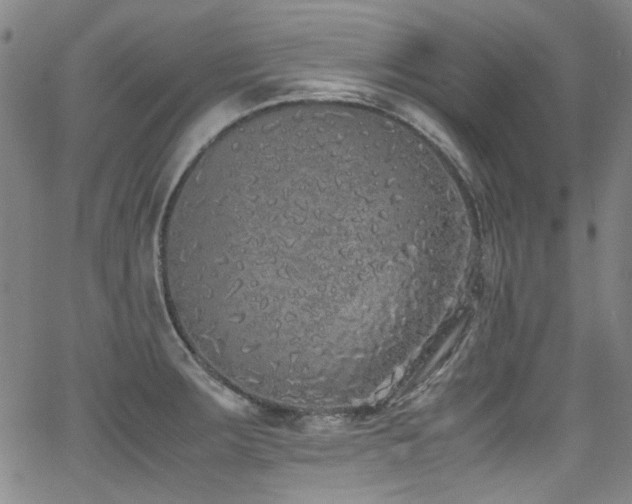 X0000062931283200601131502