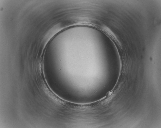 X0000062931284200601131502