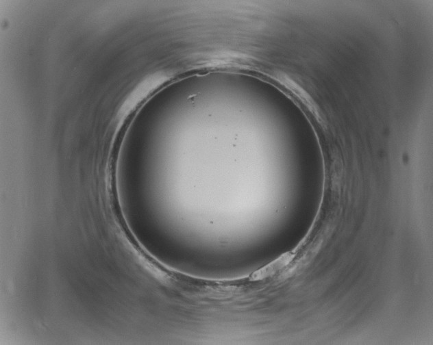 X0000062931285200601131502