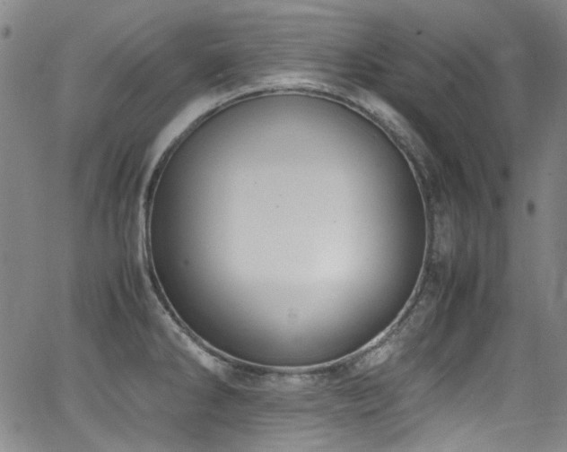 X0000062931286200601131502