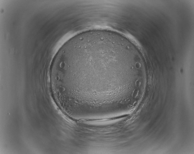 X0000062931287200601131502