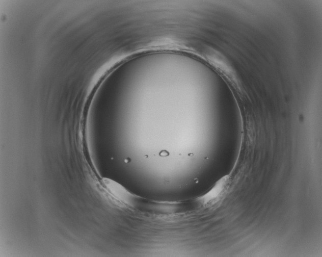 X0000062931288200601131502