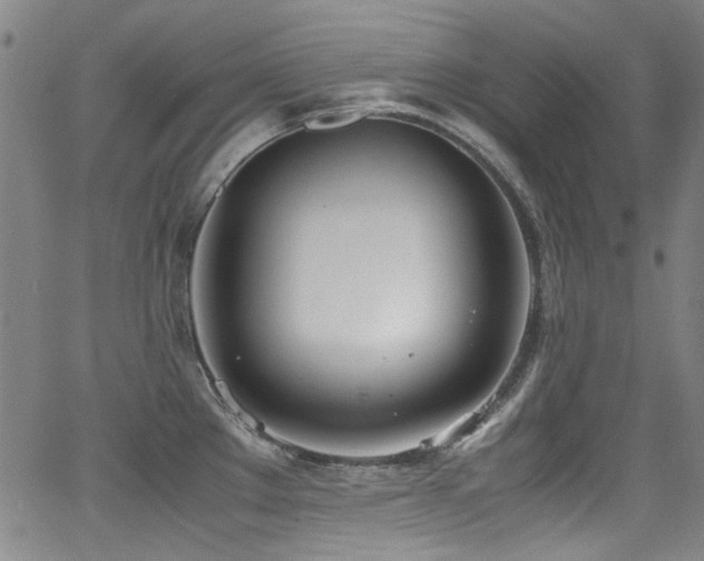 X0000062931289200601131502