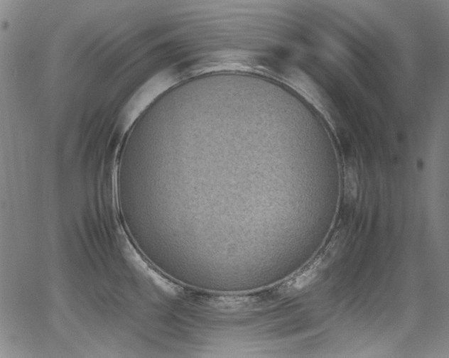 X0000062931290200601131501