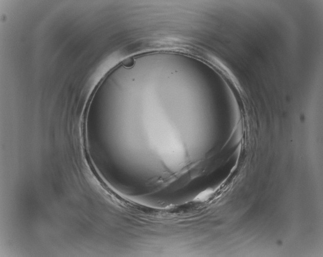 X0000062931291200601131501