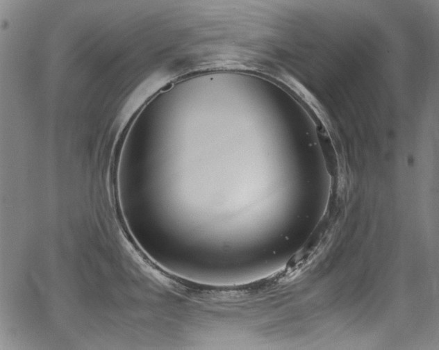 X0000062931293200601131501