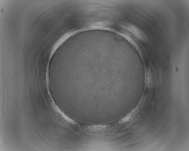 X0000062931294200601131501