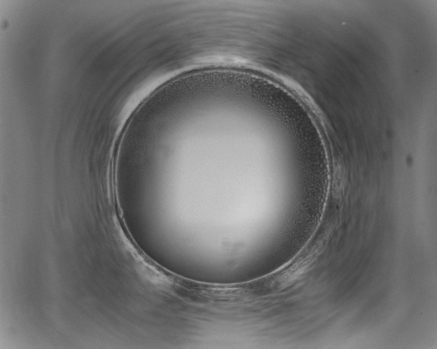 X0000062931295200601131501