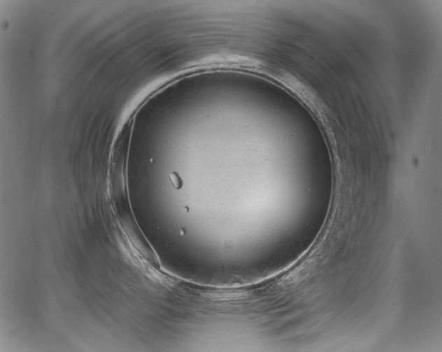 X0000062931296200601131501