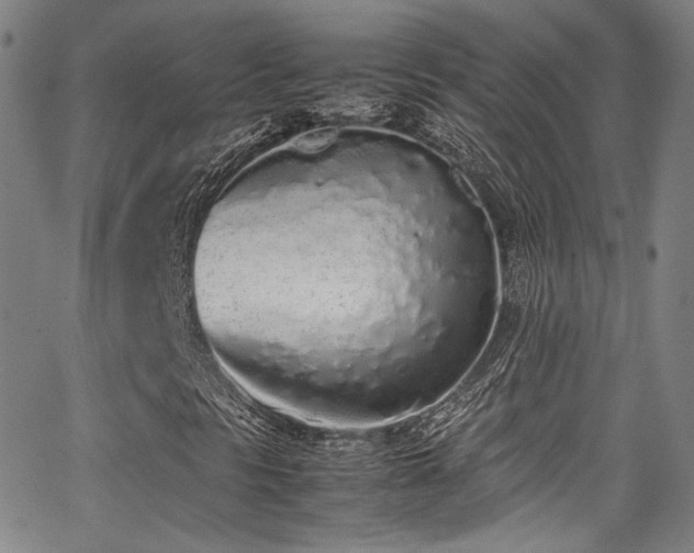 X0000062931297200601131501