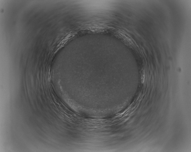 X0000062931298200601131501