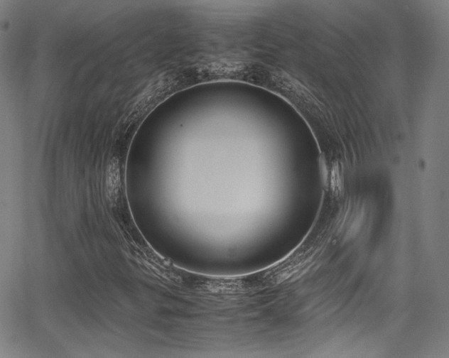 X0000062931299200601131501