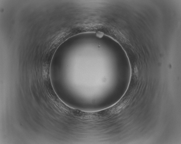 X0000062931300200601131501