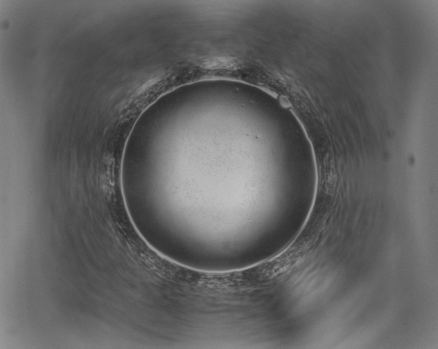 X0000062931301200601131501