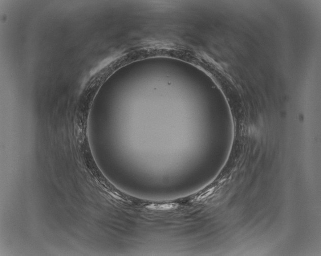 X0000062931303200601131501