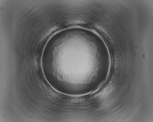 X0000062931305200601131501