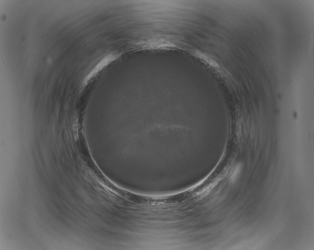 X0000062931306200601131501