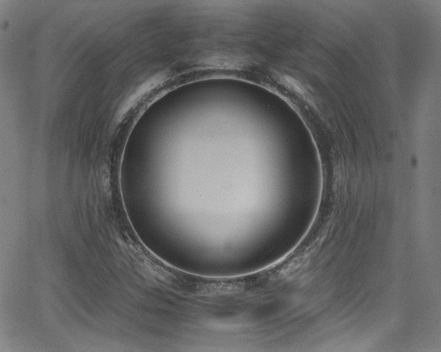 X0000062931307200601131501