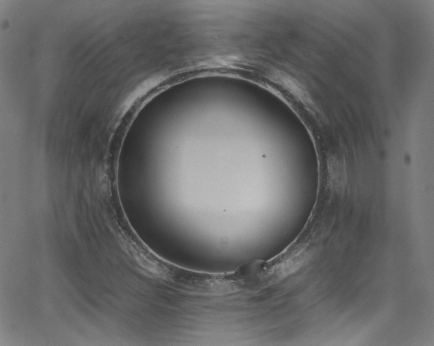 X0000062931308200601131501