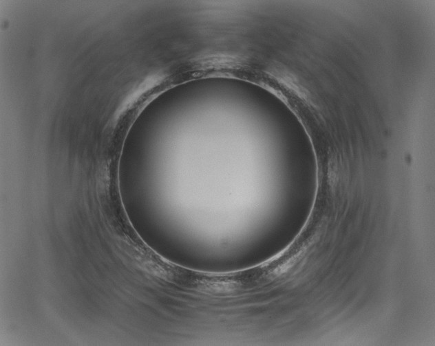 X0000062931309200601131501