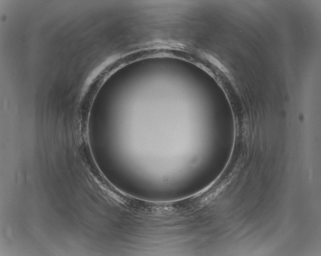 X0000062931310200601131501