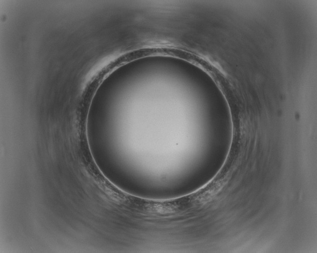 X0000062931311200601131501