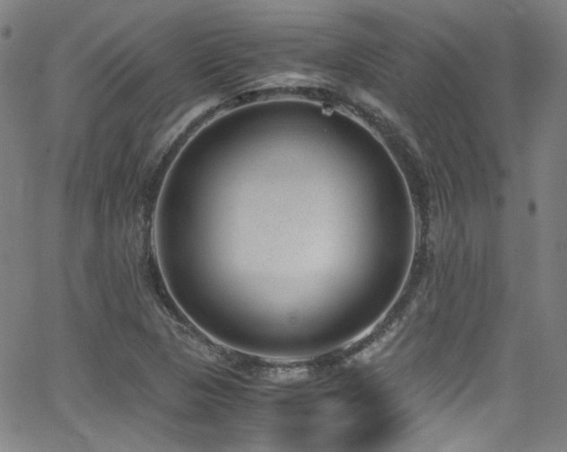 X0000062931313200601131501